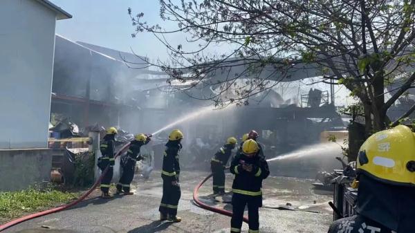 1709191782480804.jpg 180948418761.jpg