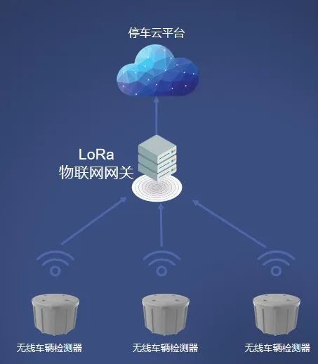 1709192245436840.jpg 111545238280.jpg