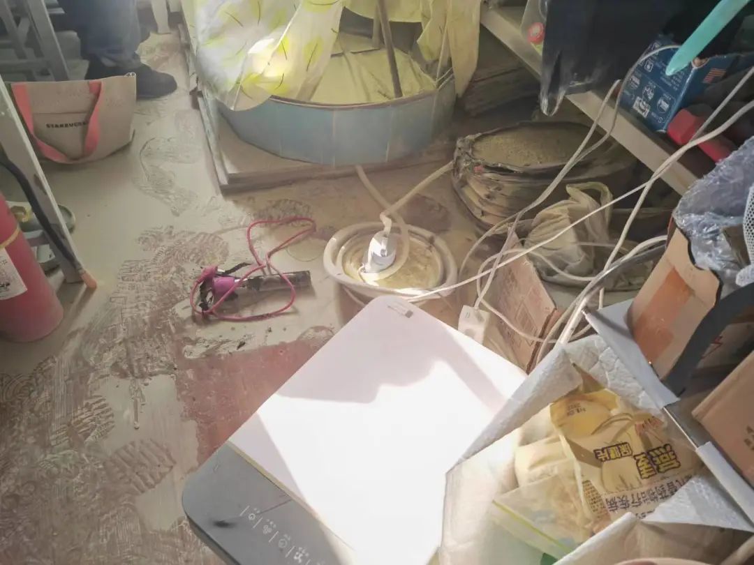 1709258754214422.jpg 111616088007.jpg