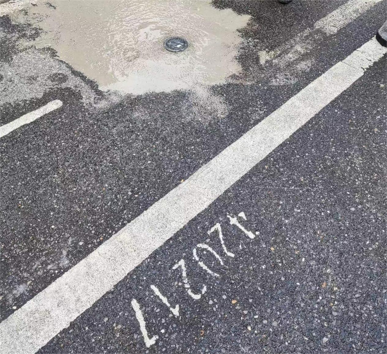 1709861593990081.jpg 250954151837.jpg